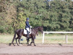 IMG_7821_web